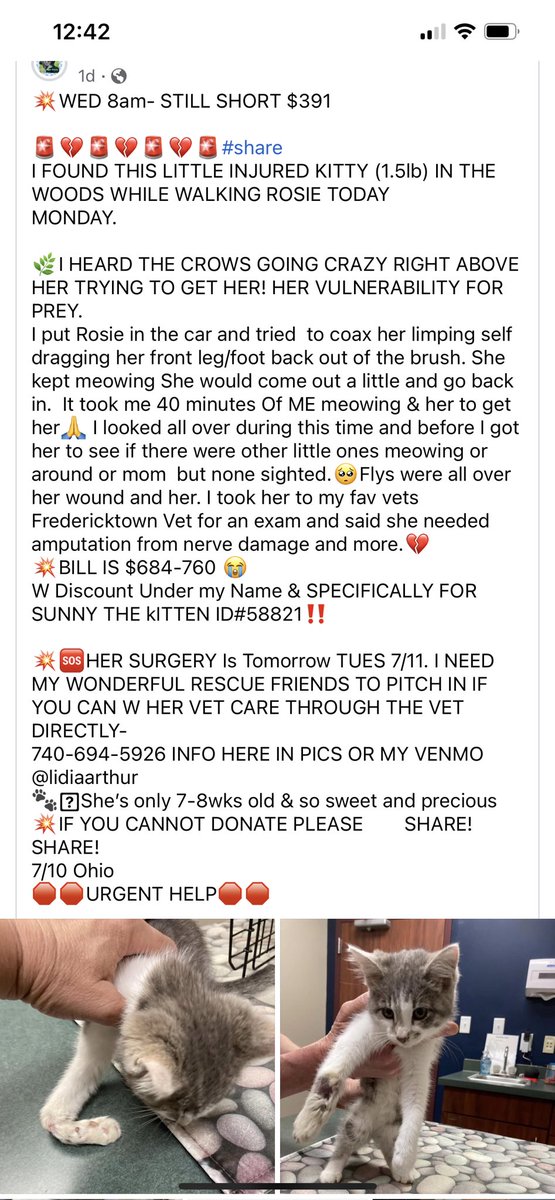 PChefKellVG's tweet photo. @pulte any chance you or any of your time could help? My friend rescued this kitten the other day from a nature preserve. She was badly injured and needed her leg amputated. I sent $ but she’s still short $391
Her Venmo is @lidiaarthur https://t.co/axgk1q2JZk