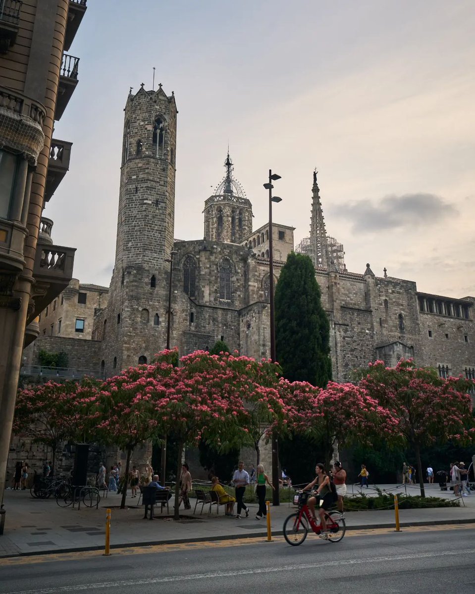 thisis_bcn_ES's tweet photo. Nos limitaremos a dejar estas imágenes del Gótico y, especialmente, del Temple d'Augusut, por aquí. ¿Has estado ahí alguna vez? 🏛️
📷 bcnmagica (IG)
#visitbarcelona #templedaugust #barrigotic https://t.co/YV1ybQn9ux