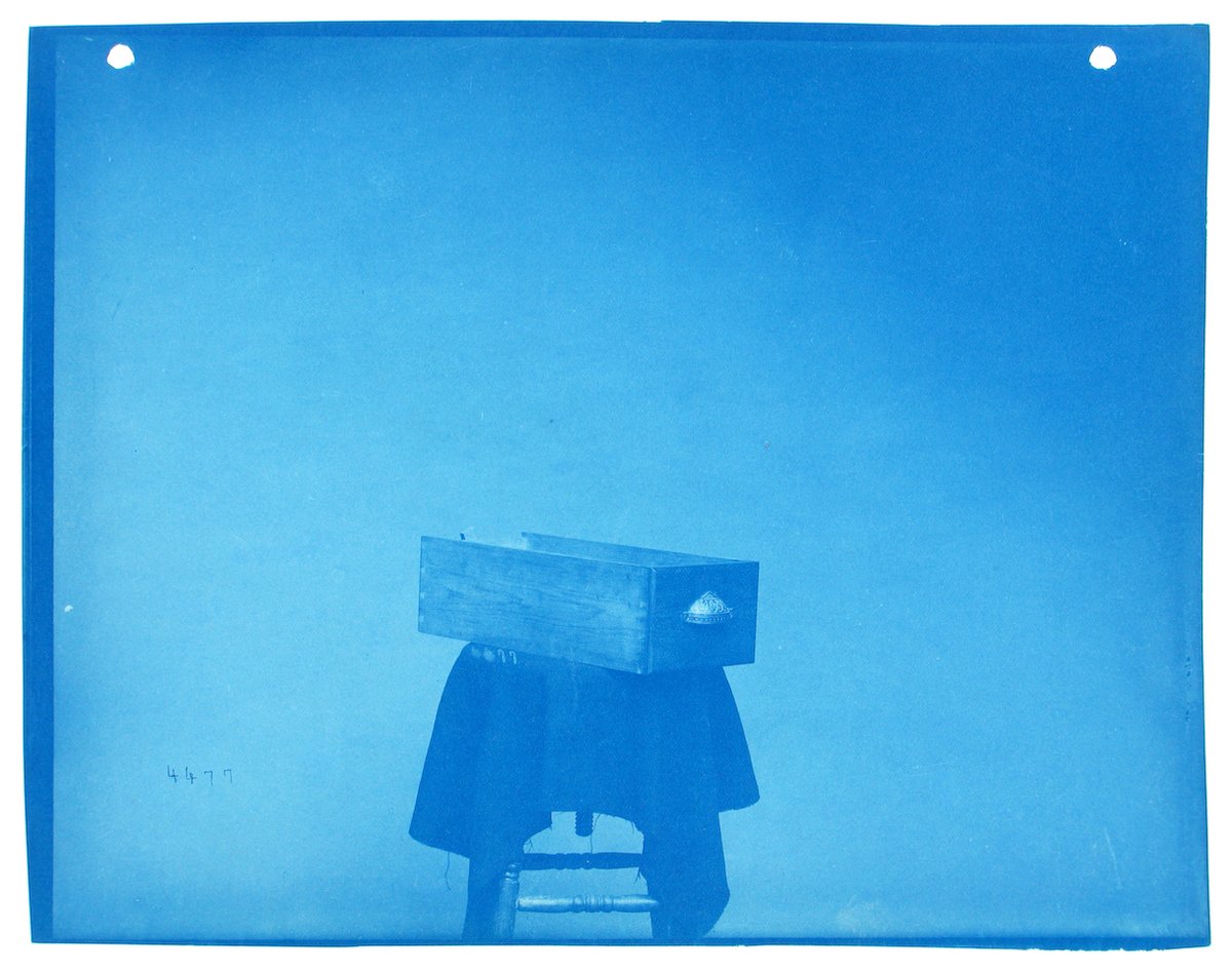 PublicDomainRev's tweet photo. Cyanotypes by Thomas Smillie (1843–1917) of the @Smithsonian's collection, by their very first curator of photography. More in our latest post: https://t.co/jc0W2NyamH https://t.co/zUurooQIkM