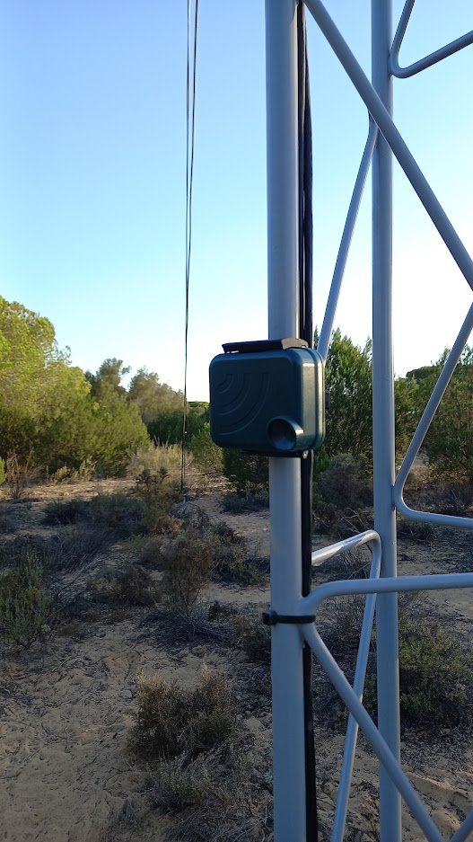 Irene Mendoza tweet media