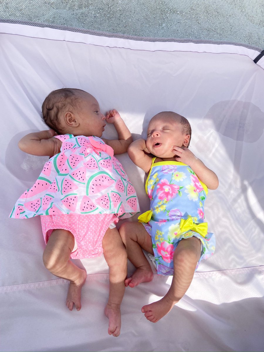 anisseee_'s tweet photo. Noelle and Madison are 6 weeks old 🩷🤍 they are getting chunkier, love to snuggle, hate bath time and tummy time, and keep us up all night 🥰 https://t.co/OuIqj2CCkW
