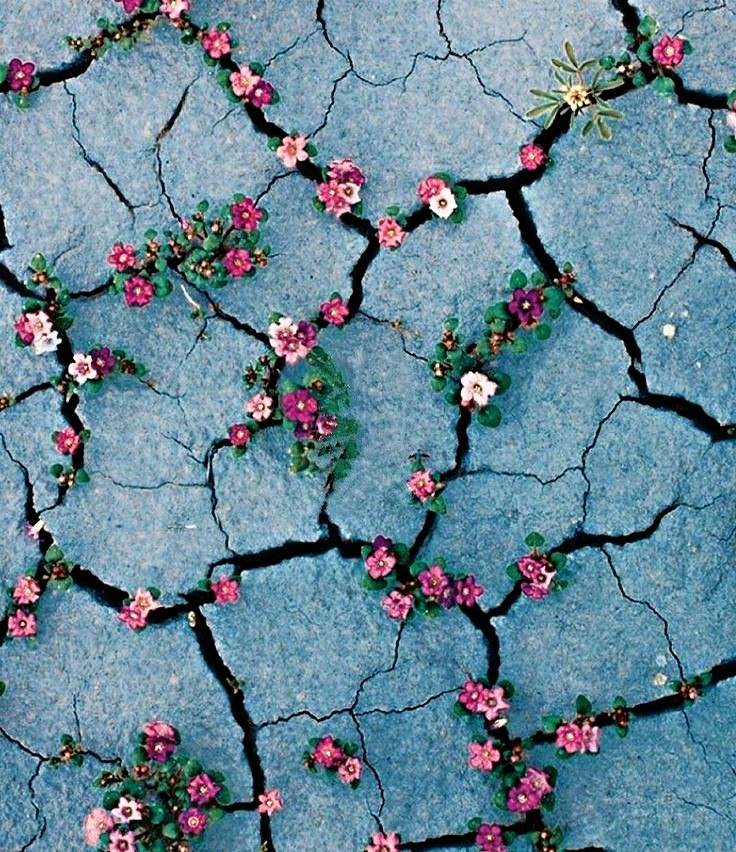 _artpag's tweet photo. وقتی یه آدم مناسب میاد داخل زندگیت .. https://t.co/czVGvDcNnk
