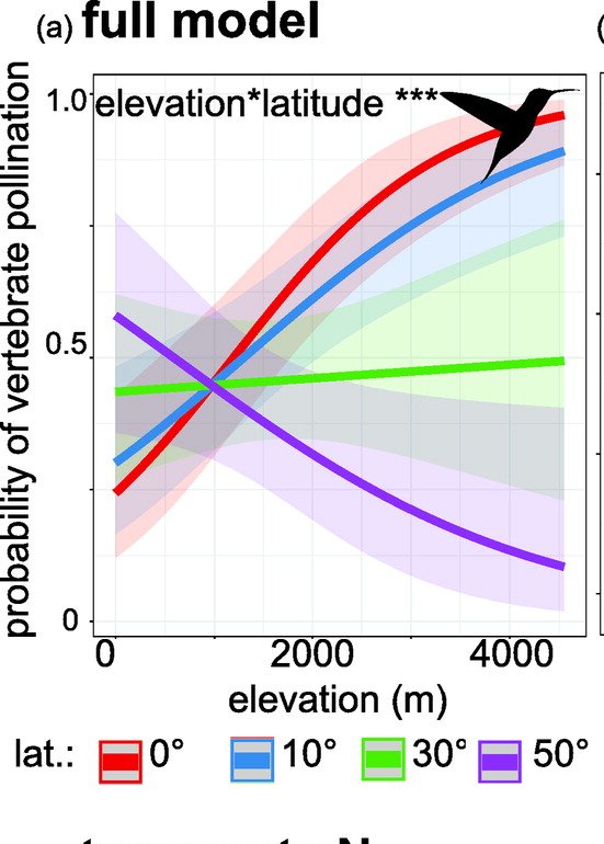 Agnes Dellinger tweet media
