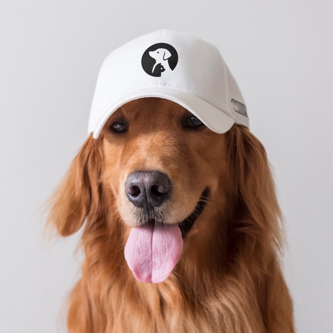 PromotionSrce's tweet photo. Want to show off your pet store? How about some nice hats with your business logo? This little guy sure likes it! 🧢🐕

📍 212 W North Ave, Lombard, IL

#CustomPrinting #CustomApparel #CustomClothes #CustomHats #PromotionalMaterial #SmallBusiness #PromotionIdeas #Marketing https://t.co/gGOVKnCOFU