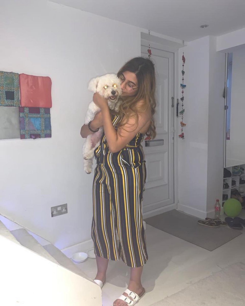 hennahassann's tweet photo. but anyway let’s look at my little angel ❤️ the best doggo to ever exist https://t.co/dFFPnYHusH