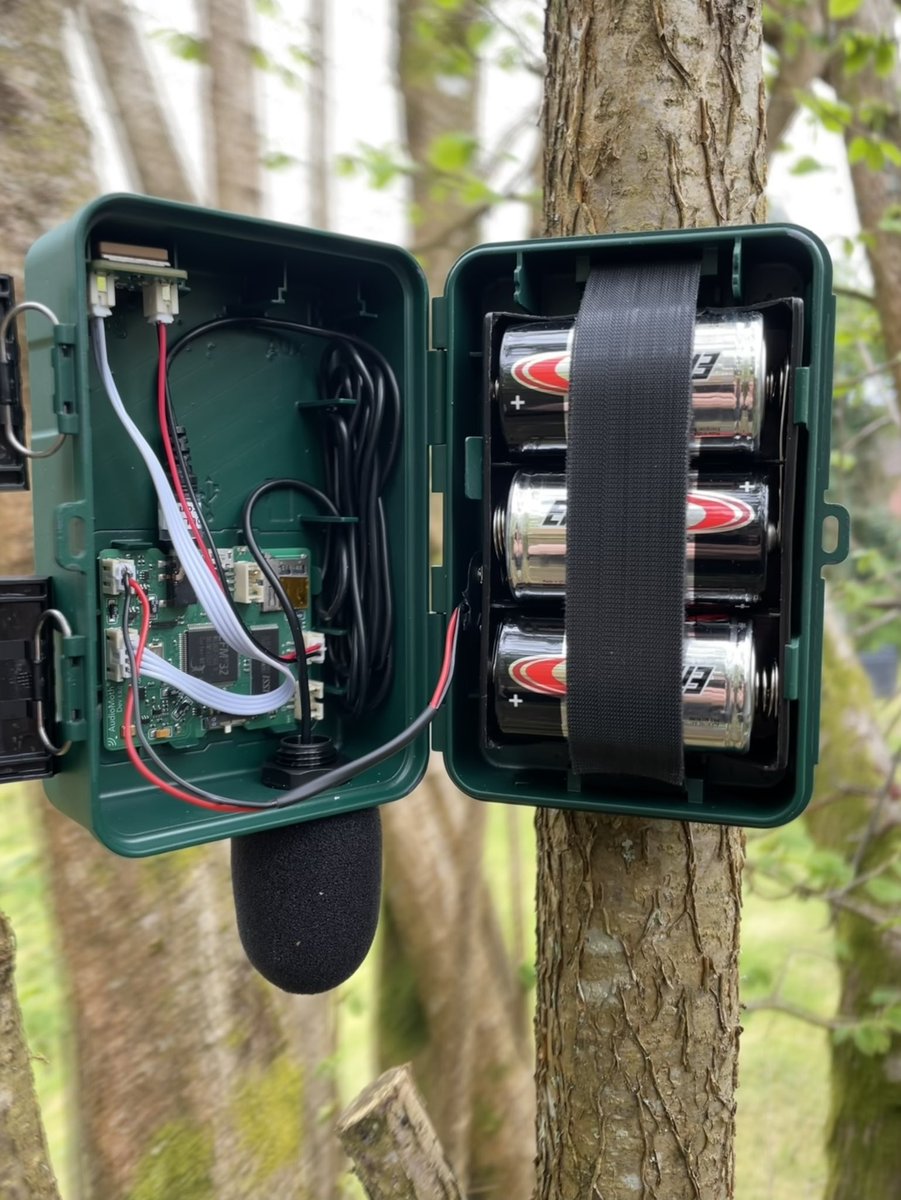 Alex Rogers tweet media