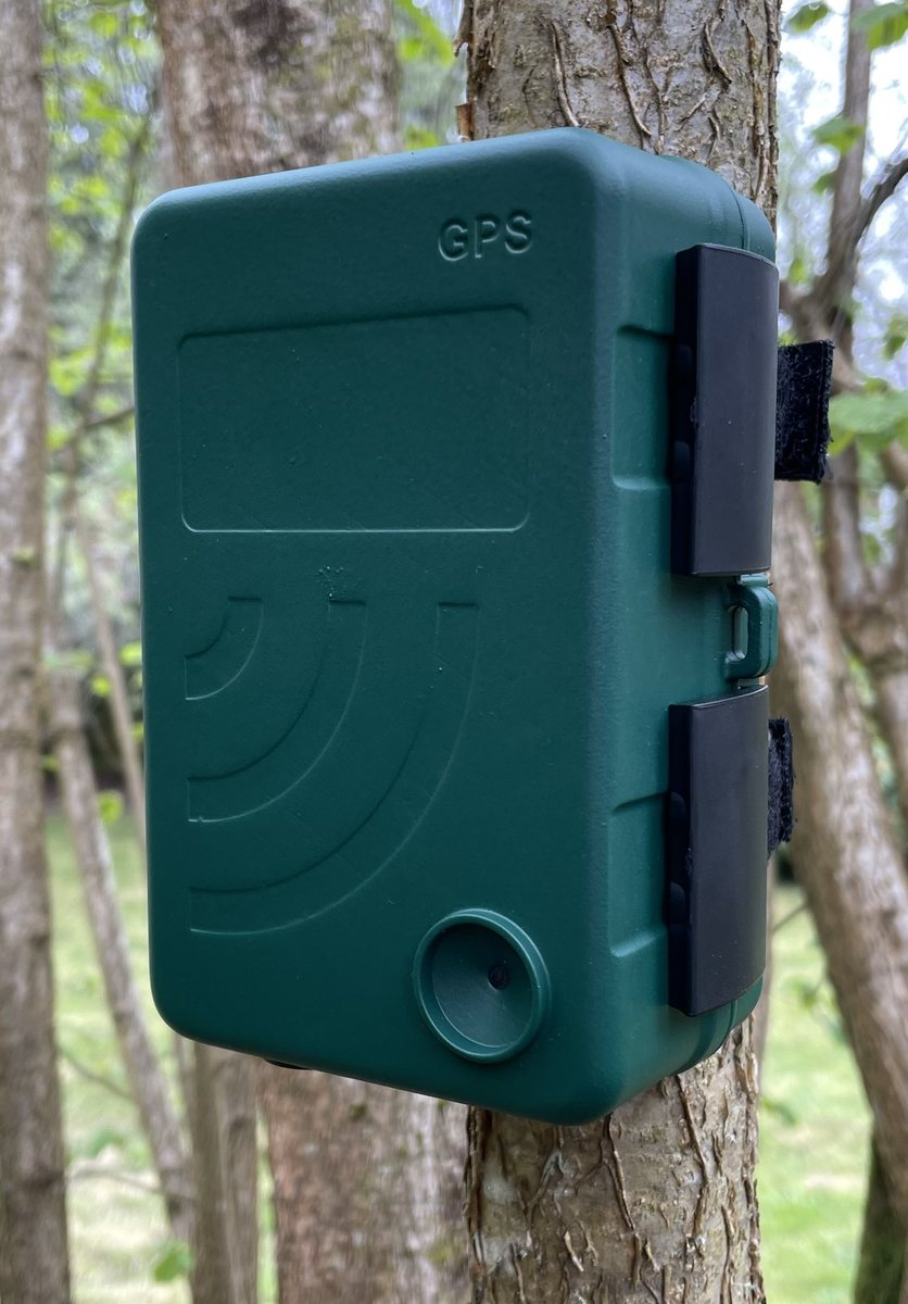 Alex Rogers tweet media