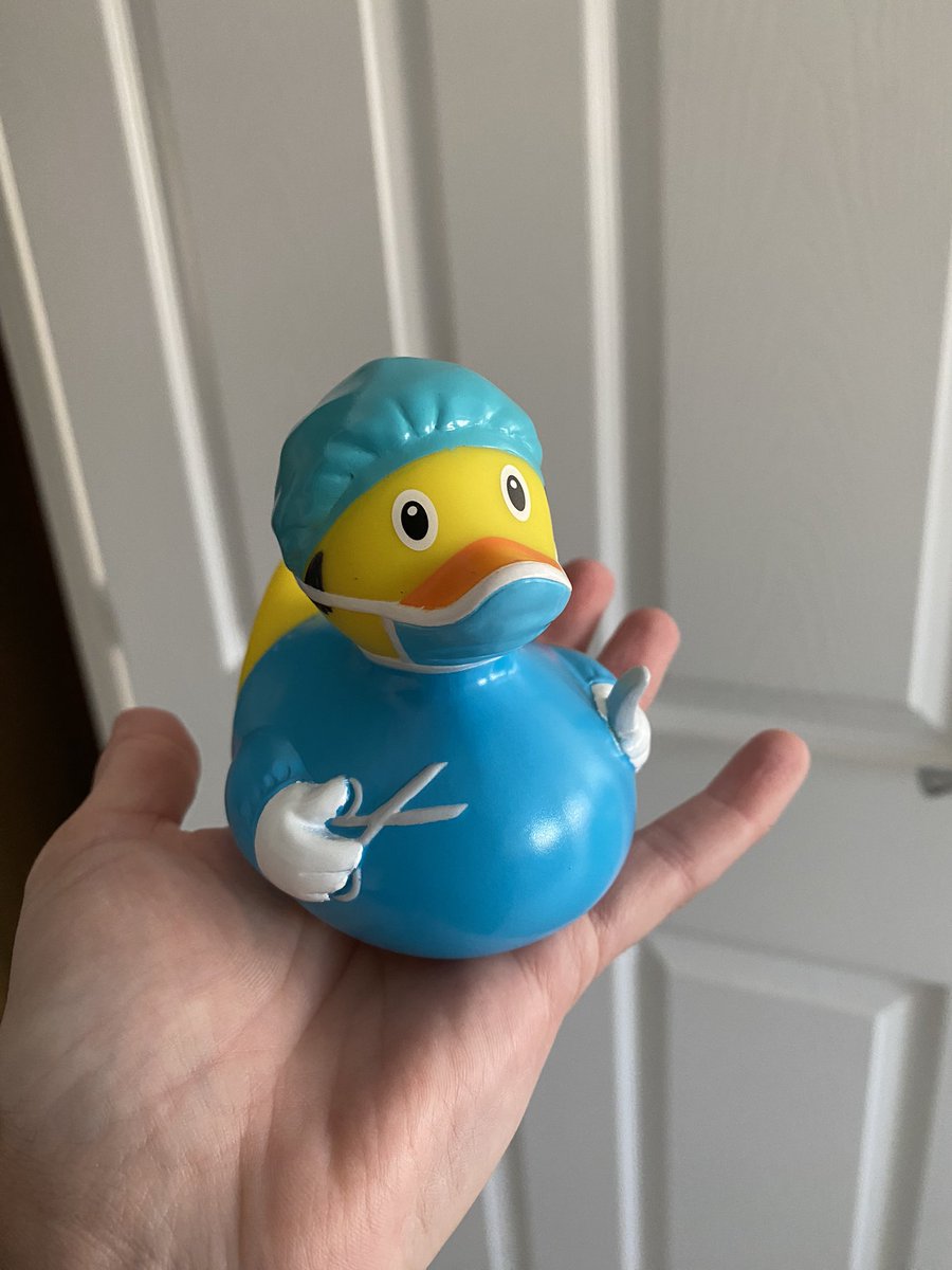 AFewViews's tweet image. Another duck for my collection gained today at #P4H 😀 Thank you @GS1Healthcare