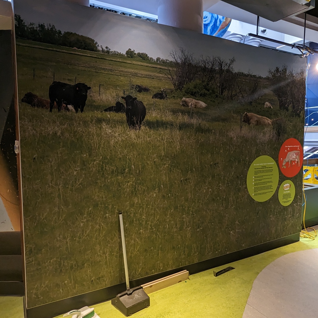 SkScienceCentre's tweet photo. The updates to the Richardson Ag-grow-land exhibit are progressing nicely! New wall graphics are installed and electronics work is well underway!
Learn more about Richardson Ag-grow-land here: https://t.co/CDJeRzS7Gz
#agriculture #agricultureeducation #agrotech #agrotechnology https://t.co/jubACnwI0k