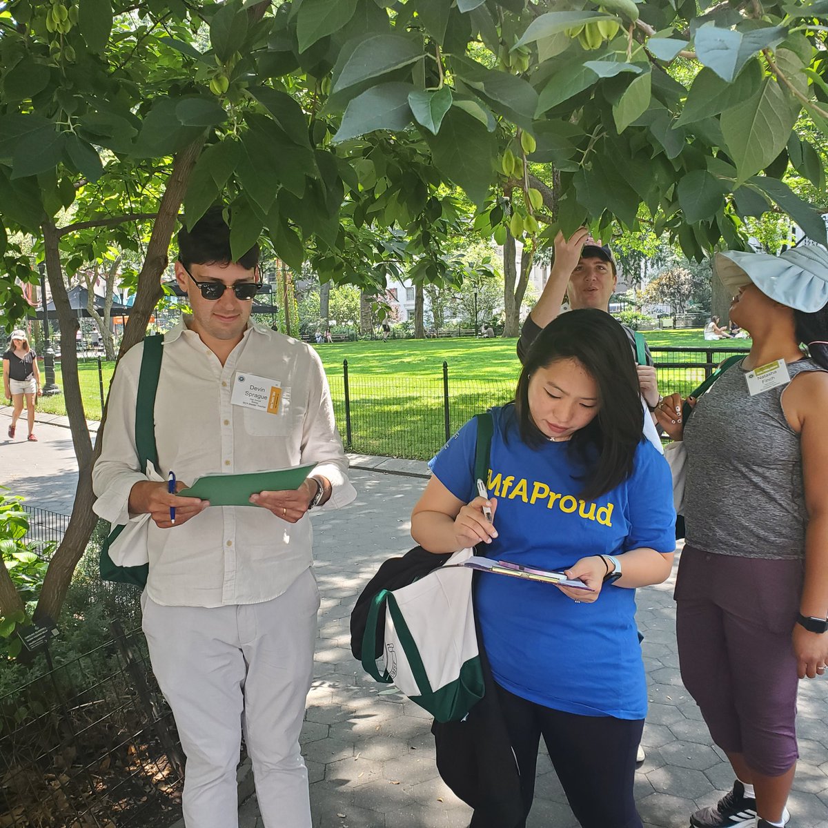 Who are the coolest people in the world, and why are they teachers? I had the *best* morning enjoying Madison Square Park trees with @MathforAmerica master teachers. You know, measuring leaves, making ids, practicing protocols, as one does. #summerthink #enviroed @HarvardForest