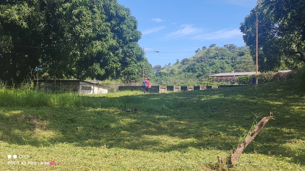 salainass's tweet photo. El INASS  de portuguesa junto a la Alcaldía de la entidad, desarrollaron mantenimiento de alrededores de la  Gerogranja Guanare. Con el objetivo de brindar  embellecimiento  a los espacios del centro.
#LaPoesíaNosUne  @NicolasMaduro @magally_vina @vmsfelicidad @pestana_jl https://t.co/aVbYe6Zsy3