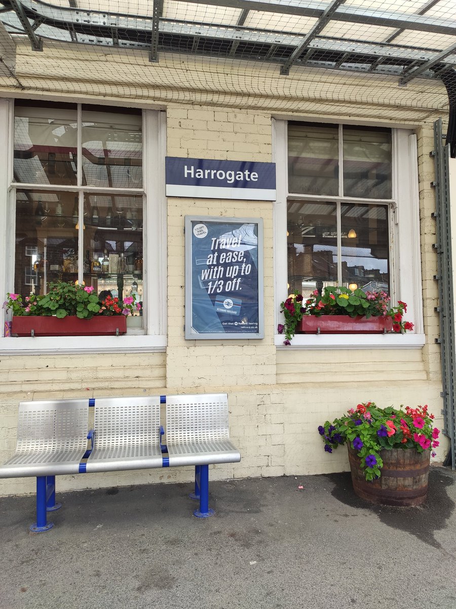 Brenda J. Peña Carrillo tweet media