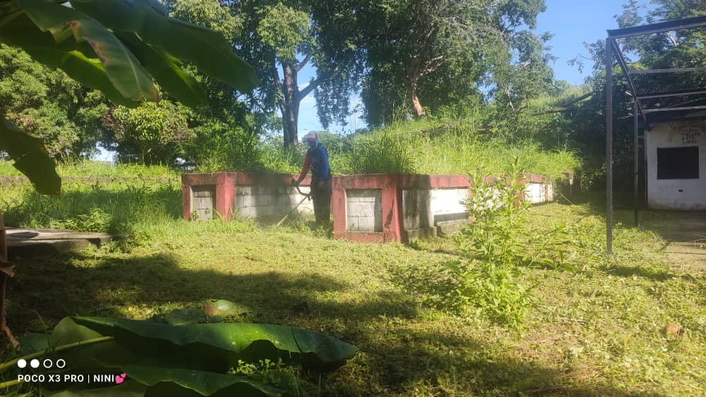 salainass's tweet photo. El INASS  de portuguesa junto a la Alcaldía de la entidad, desarrollaron mantenimiento de alrededores de la  Gerogranja Guanare. Con el objetivo de brindar  embellecimiento  a los espacios del centro.
#LaPoesíaNosUne  @NicolasMaduro @magally_vina @vmsfelicidad @pestana_jl https://t.co/aVbYe6Zsy3