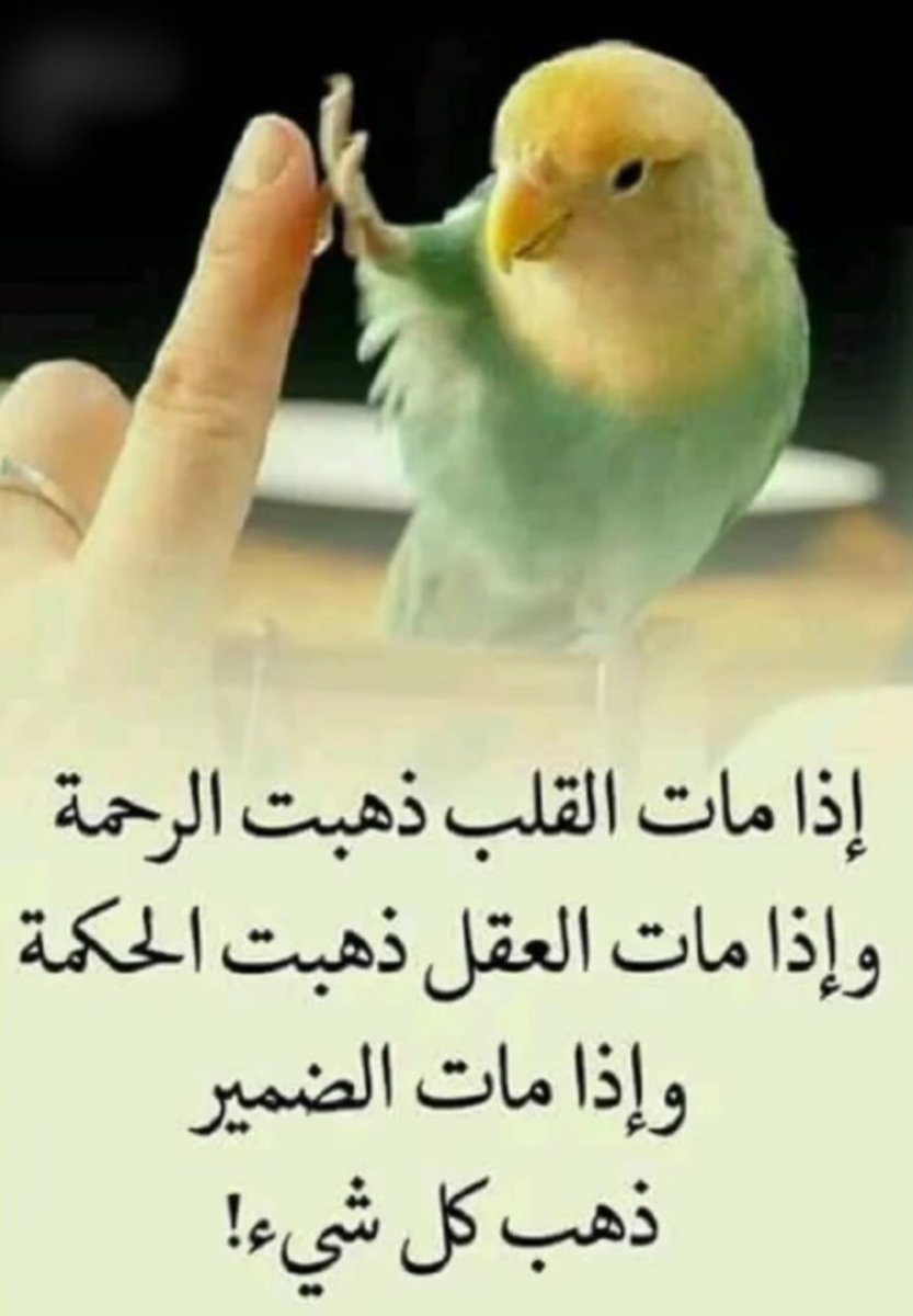 mm_6_11's tweet photo. https://t.co/3hWyxKv3cF