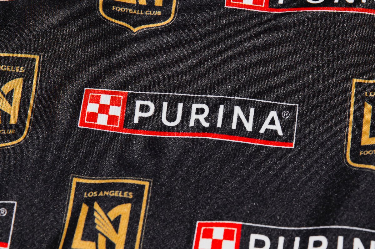 Want your pet to be as stylish as Lennon? Now they can! 

Every fan in attendance tonight will receive a co-branded Pet Bandana to bring home to your biggest supporter, courtesy of <a href="/Purina/">Purina</a>.