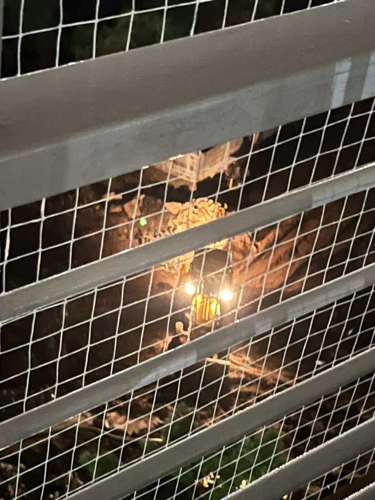 jigneshjain2's tweet photo. The one problem is not solved yet and another one, is there any working timing for the construction sites or they can work as per their convenience anytime. The existing society also have kids, senior citizens, humans who get tired working whole day. https://t.co/wxfujxQGe4