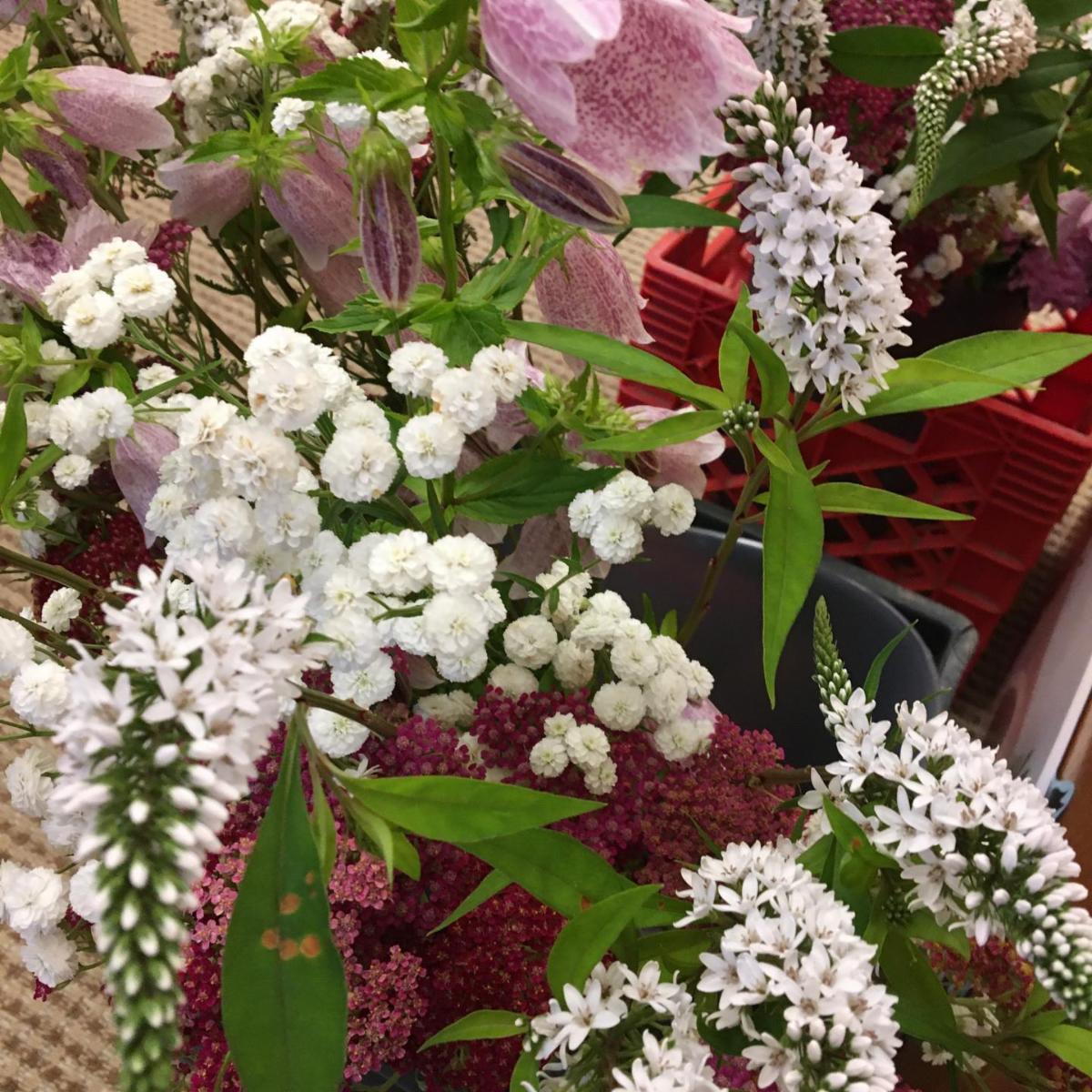 VisitEssexMA's tweet image. Beautiful bouquets support @essexpubliclibrary #repost This week’s bouquets donated by Holly Read are just gorgeous! Purchase one for $10 to help support future library programming. Library info: conta.cc/3eiDQ9h

#tohpburnhampubliclibrary #freshflowers #essexma