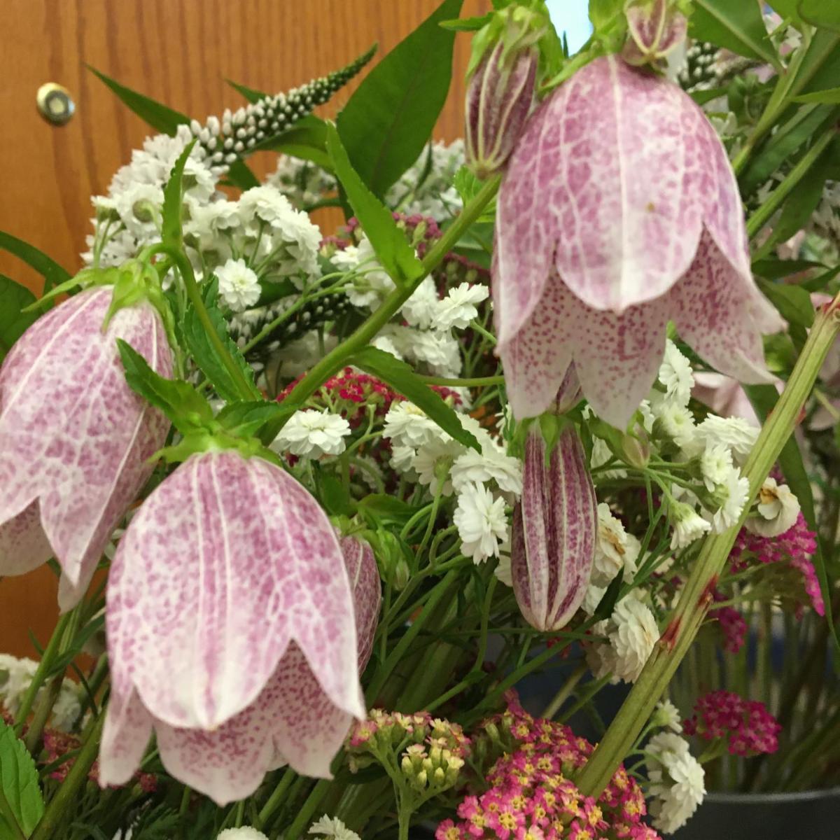 VisitEssexMA's tweet image. Beautiful bouquets support @essexpubliclibrary #repost This week’s bouquets donated by Holly Read are just gorgeous! Purchase one for $10 to help support future library programming. Library info: conta.cc/3eiDQ9h

#tohpburnhampubliclibrary #freshflowers #essexma