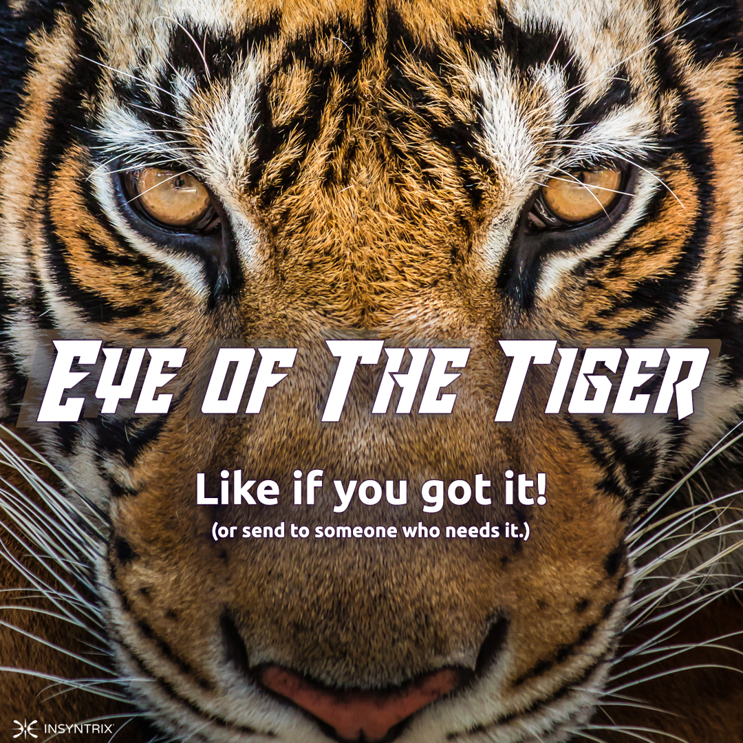 Insyntrix's tweet photo. Eye of the Tiger. 🐯
Do you have it? Like if you got it or send to someone who needs it!
#EyeOfTheTiger #LifeGoals #Insyntrix https://t.co/f71m0gaTPD