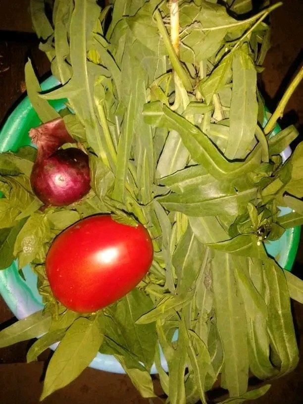 dcijuja's tweet photo. Acha sasa niingie Jikoni 🤸🤸😉😉 https://t.co/iXxmGVwTeg