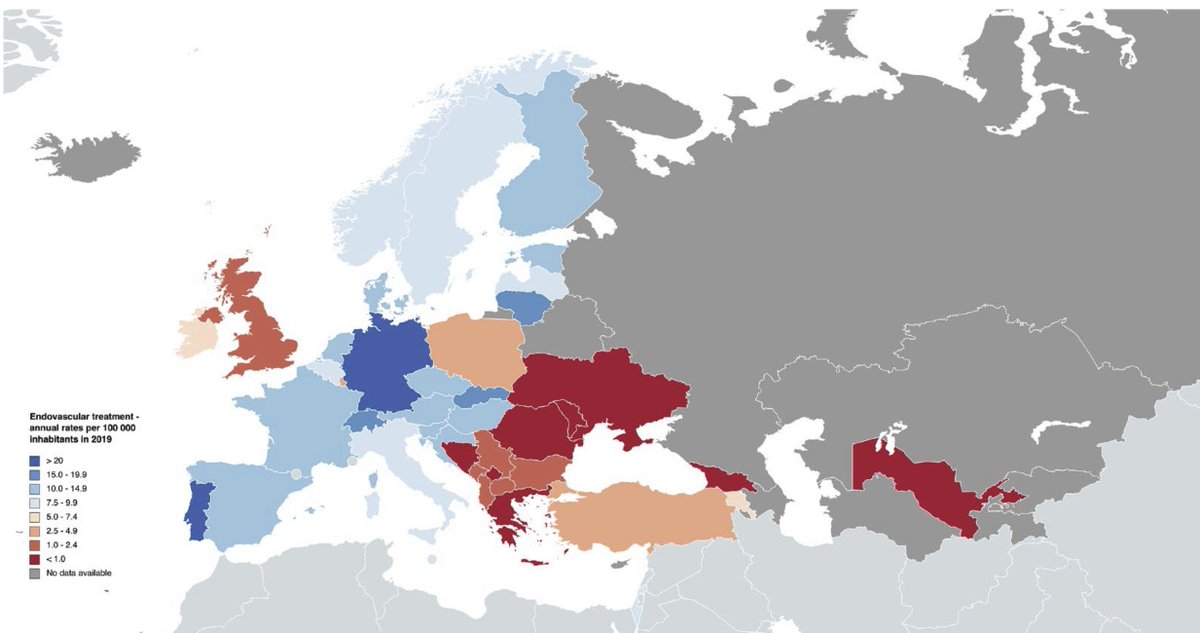 Fie0815's tweet photo. EVT for stroke in Europe https://t.co/QTSYrickG3 Comprehensive analysis of stroke therapy in Europe (status 2019/2020) by @Diana_A_Sousa @FishingNeurons @Simona_Sacco_ @ESOstroke @esmintsociety https://t.co/TqyMhcNn3K