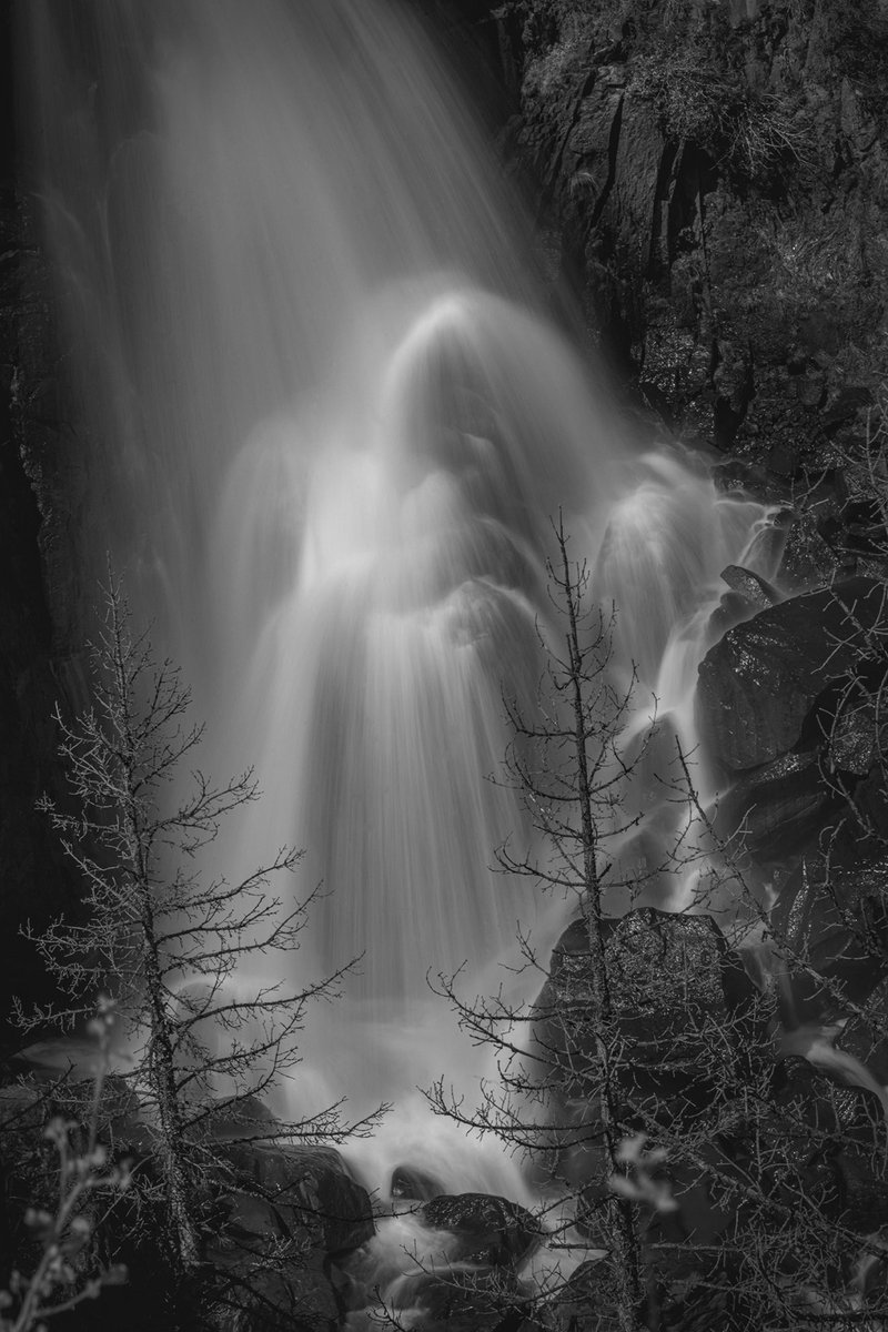 Finding Donna 🖤🤍📷 tweet media