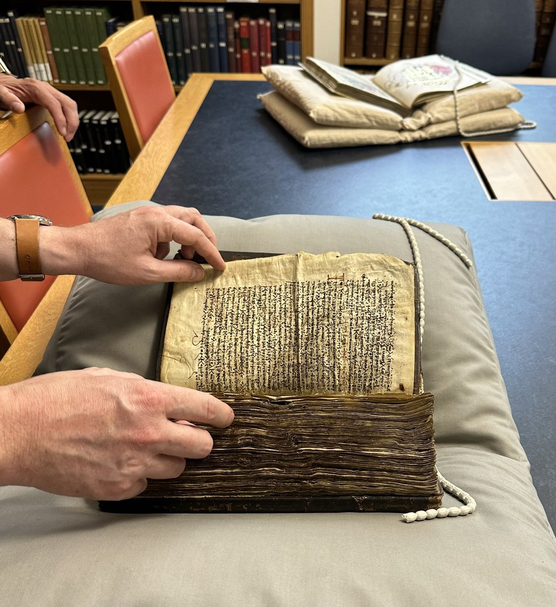 Lorraine Beard tweet media