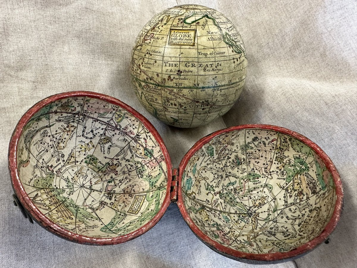 Lorraine Beard tweet media