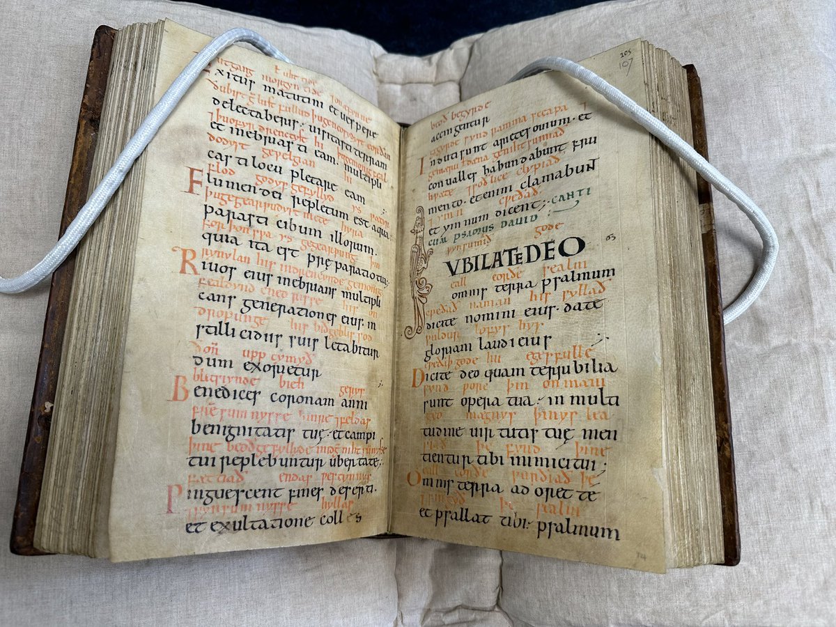 Lorraine Beard tweet media