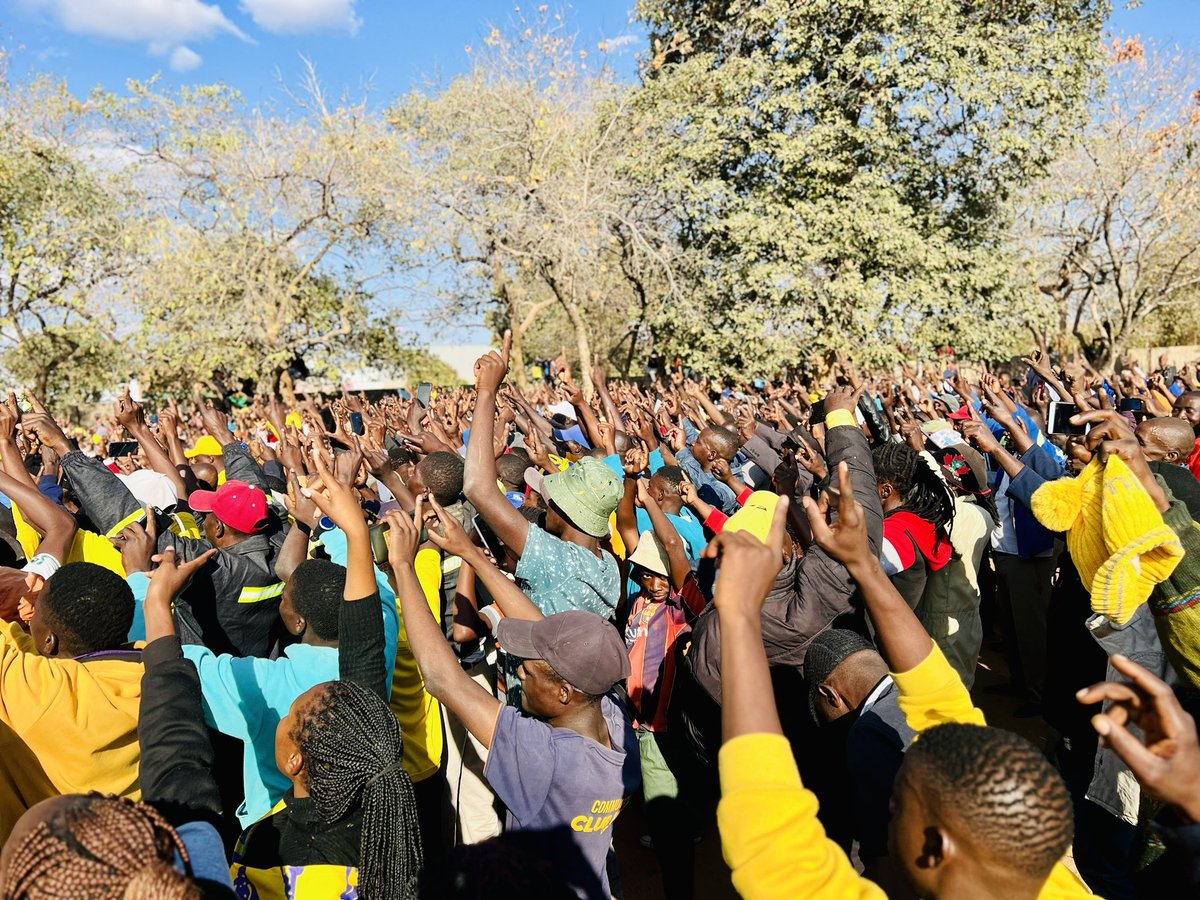 CCCZimbabwe's tweet photo. 🟡Today, President @nelsonchamisa visited Gokwe-Nembudziya as part of his ongoing rural mobilization campaign ahead of the August 23 harmonized elections. During his address to the cluster leaders and members and villagers, he made a commitment to transform Gokwe into a modern town by adding value to their cash crop, cotton. Currently, cotton farmers are receiving a meager $0.35 per kg, which falls well below the production cost. President Chamisa pledged to raise the payment to $1 per kg once he assumes office on the 23rd of August.