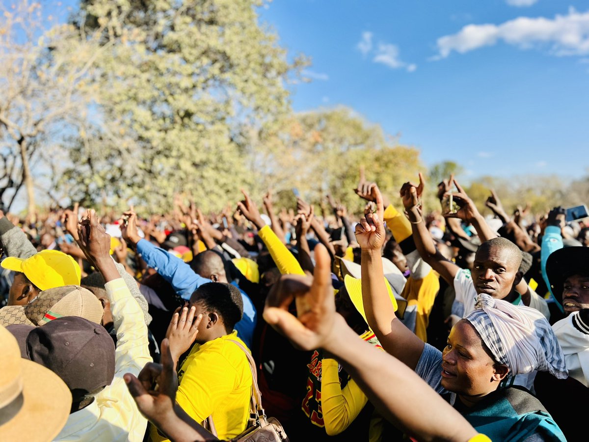 CCCZimbabwe's tweet photo. 🟡Today, President @nelsonchamisa visited Gokwe-Nembudziya as part of his ongoing rural mobilization campaign ahead of the August 23 harmonized elections. During his address to the cluster leaders and members and villagers, he made a commitment to transform Gokwe into a modern town by adding value to their cash crop, cotton. Currently, cotton farmers are receiving a meager $0.35 per kg, which falls well below the production cost. President Chamisa pledged to raise the payment to $1 per kg once he assumes office on the 23rd of August.