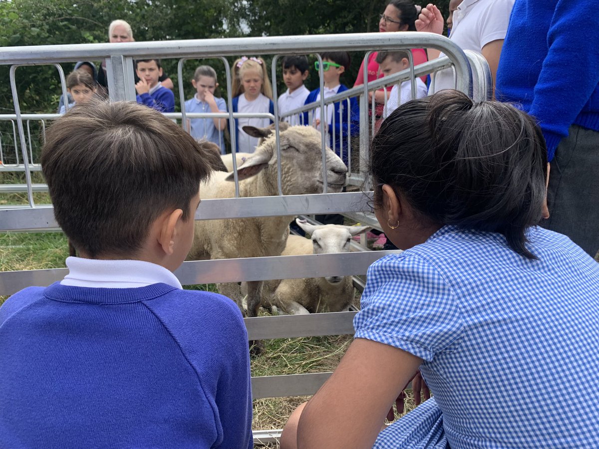 Sycamore Tree Class tweet media