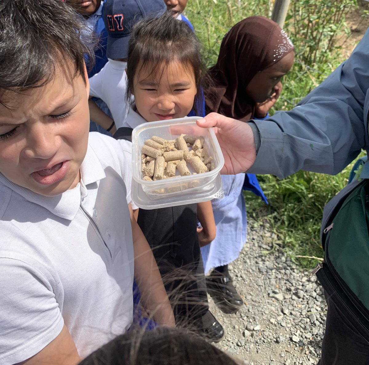 Sycamore Tree Class tweet media