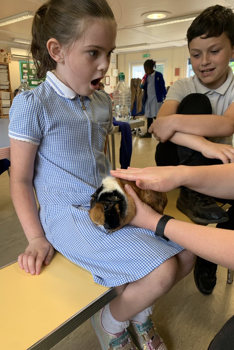 Sycamore Tree Class tweet media