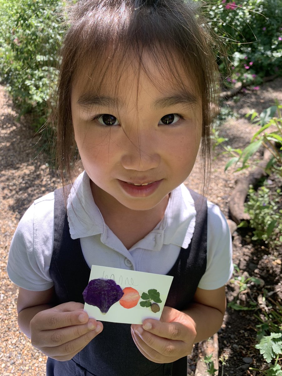 Sycamore Tree Class tweet media