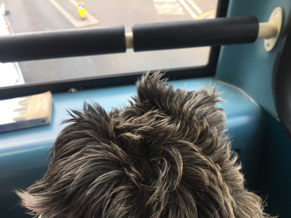 markymarket tweet media