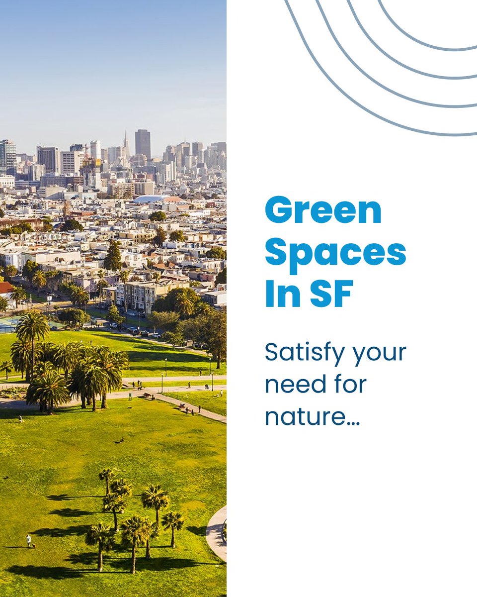 theSFmarathon's tweet photo. Experience the wild side of the city… at these natural spaces 🐋 #sfguide #sfrunners https://t.co/TH2qJtwHMY