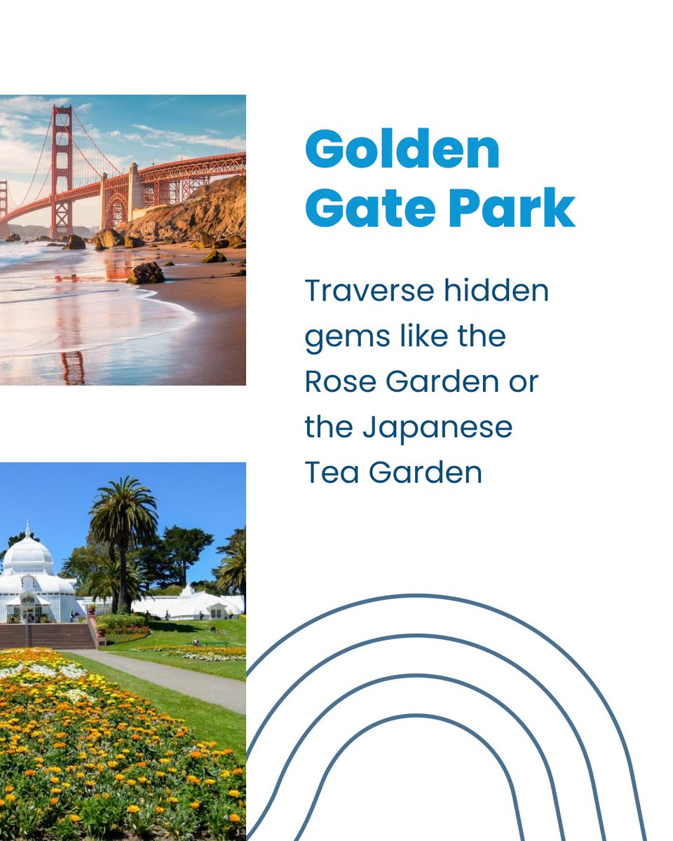 theSFmarathon's tweet photo. Experience the wild side of the city… at these natural spaces 🐋 #sfguide #sfrunners https://t.co/TH2qJtwHMY