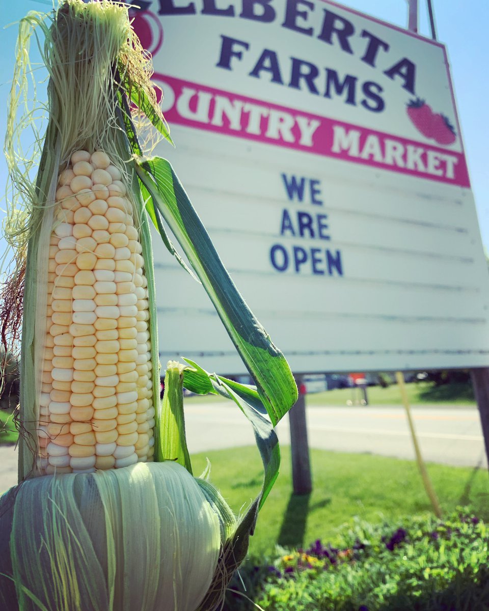 Feeling grateful for corn season. Thank you <a href="/WelshBros/">Welsh Bros.</a> ❤️
