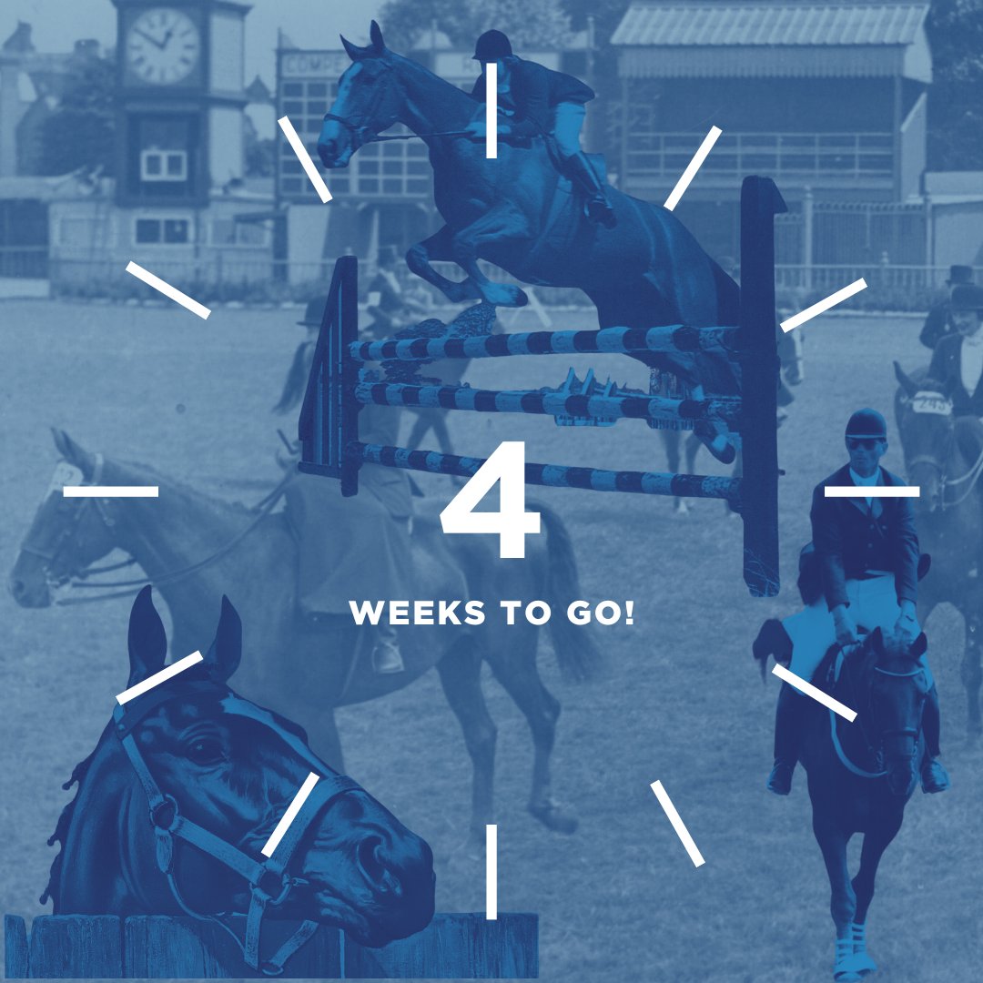 DublinHorseShow's tweet photo. Gallop into the excitement as the countdown begins! Only four weeks until the RDS #DublinHorseShow 2023. 🐎
Secure your place at the equestrian event of the summer.
Get your tickets now at https://t.co/dMHhDpukKJ. 🎟️💥 #DHSCountdown #23DHS https://t.co/596X6fSkUT