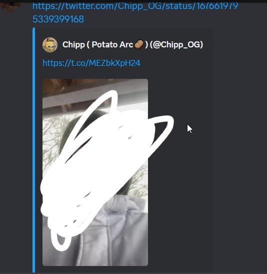 Pyro (@PyroGeck0) / Posts / X