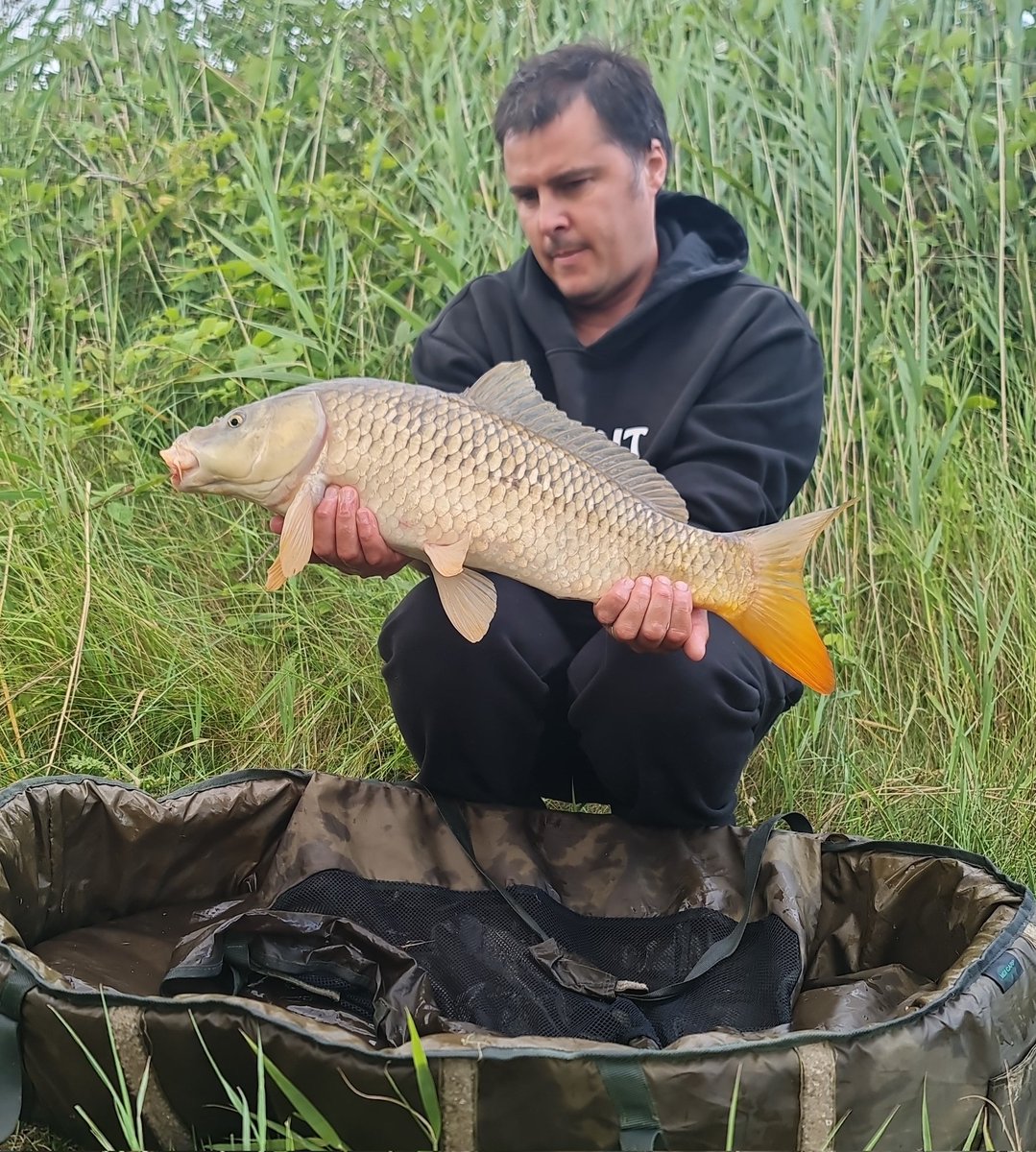 hardcorecarp's tweet image. The day ends with 8 carp ....what a place this will be when they all get bigger