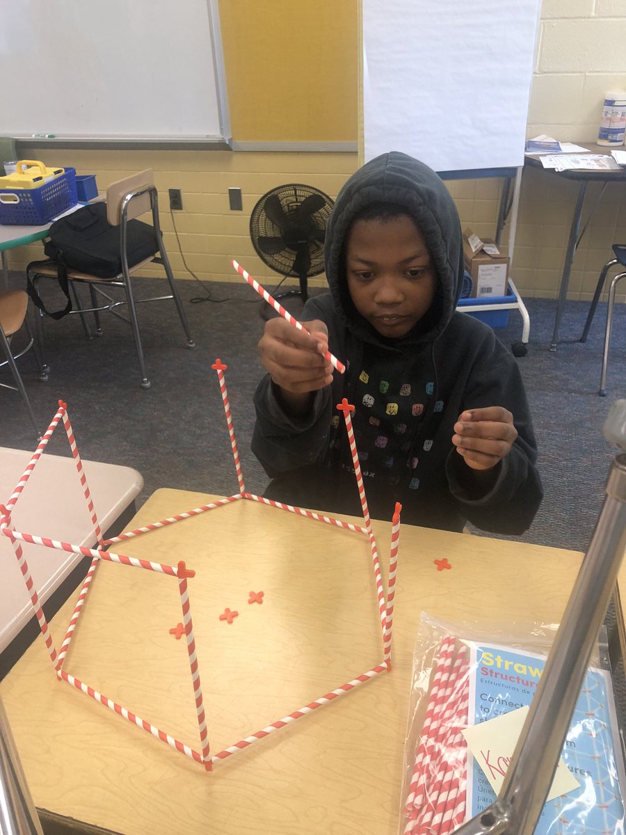 Stephanie Schlessel (Shilan) tweet media