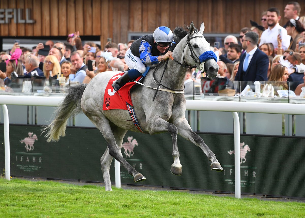 ChesterRaces's tweet photo. We're back racing this weekend!

✨The Camden Town Brewery Ladies &amp; Gents Evening - 14 July
✨Clogau City Plate Day - 15 July

Don't miss out, get your tickets today and come along for a great day out🎊👇

https://t.co/ii3PLCiT5Z https://t.co/JS88Y8sZ34