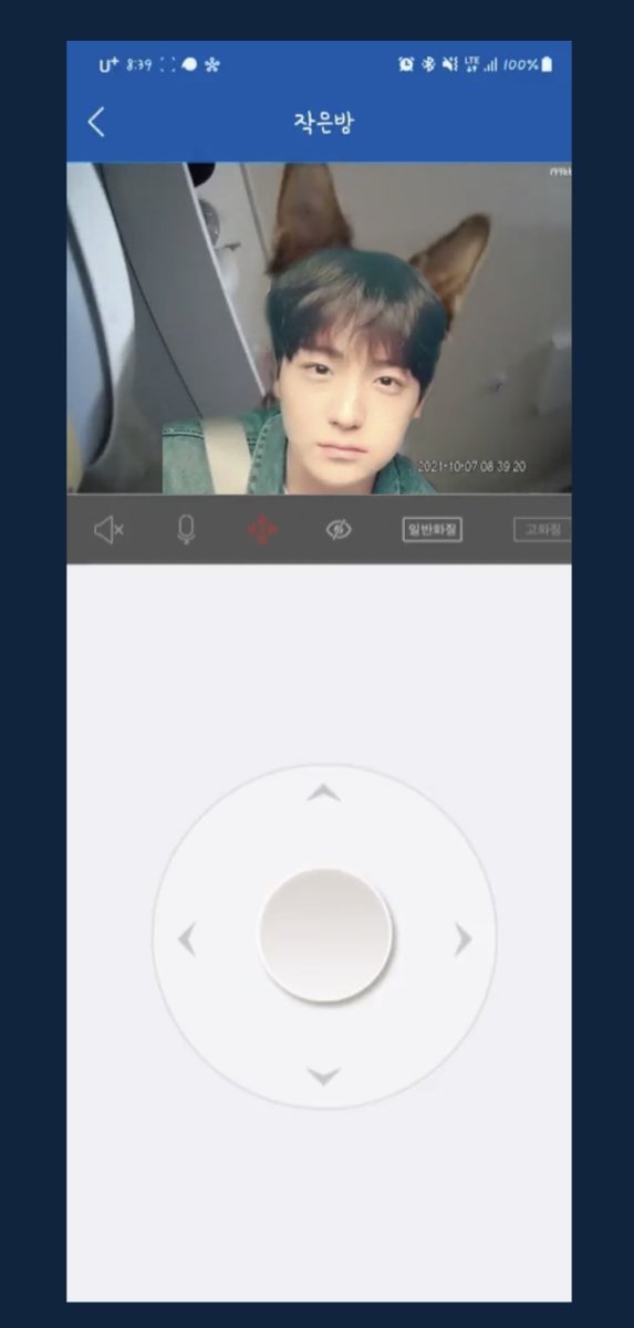 y3my6's tweet photo. 뭔가.. 나의펫횬 https://t.co/nYznBBjPWh