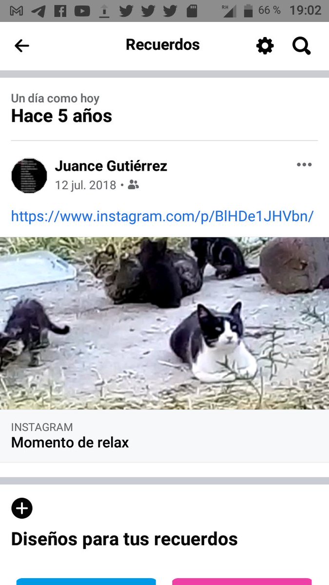 vDeCriminalas's tweet photo. https://t.co/5DRvEXdahS