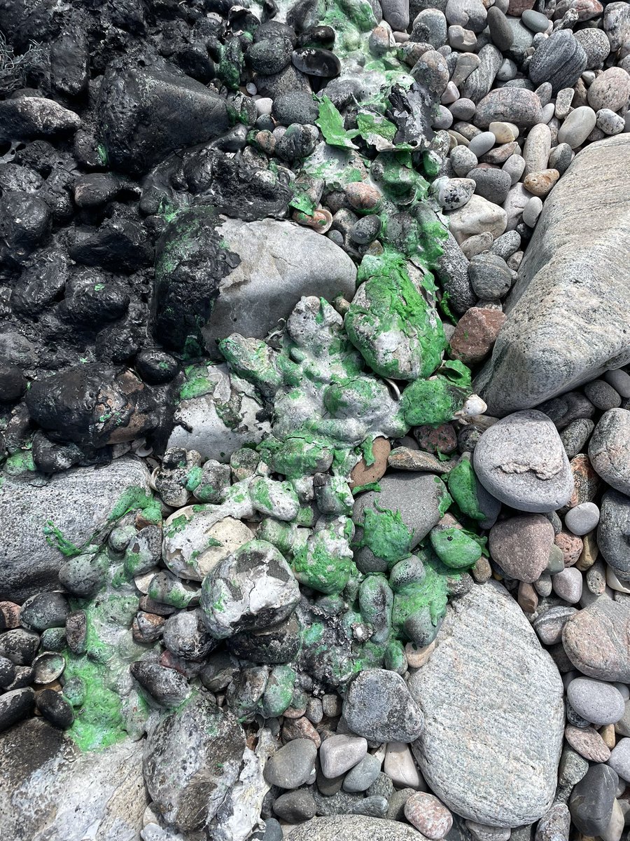 SuilanSpink's tweet photo. A disappointing find, #agricultural #singleuseplastic #Balewrap turned into #microplastics The next #hightide it’ll be in the #ocean https://t.co/C9hT9sUTyr
