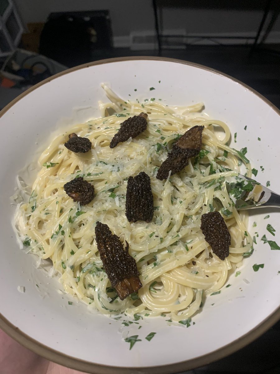 Black morels, or Morchella elata. One of the most delicious mushrooms around. When pan-fried in butter until golden brown the morels become crispy, and have a similar taste to bacon. See Wikipedia page: en.m.wikipedia.org/wiki/Morchella…

#morel #mushrooms #mushroomtwitter