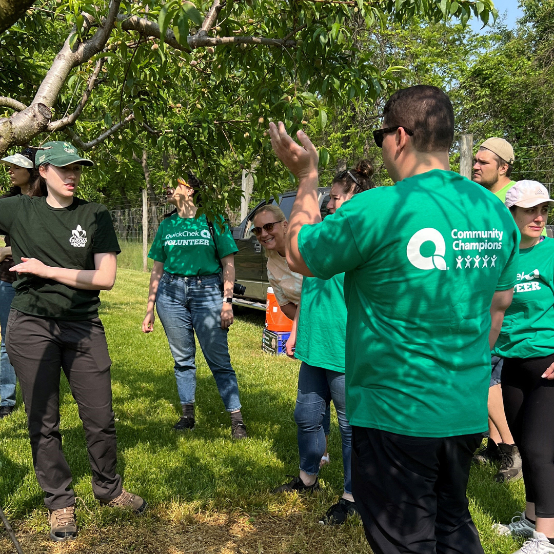 QuickChek's tweet photo. So fun and fulfilling to participate in the Grow a Row event. πWe helped thin peach trees to provide 20,000 servings of fresh produce. #GrowARow #QuickChek https://t.co/wCBzsAEQcH