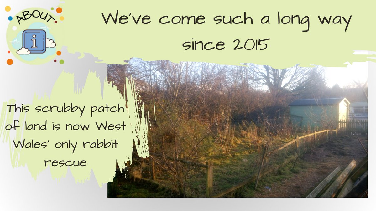 We opened because someone had to do something. Find out why Nibbles opened -> nibbles.org.uk/post/the-histo…